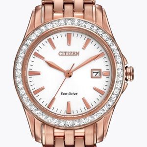 Rose-gold Citizen Eco-Watch ✨